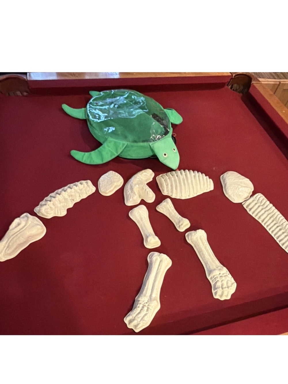 Dinosor SAND MOLD Toys, 11 Plastic Bones Pieces in Green Turtle Backpack Zip Bag